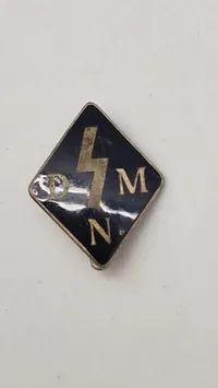 Ekstremt sjældent Deutsche Jungvolk (Mädel) emblem, parti Nordslesvig