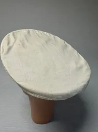 Original Dansk politi
