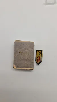 SS veteran pin