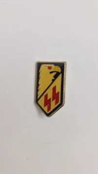 SS veteran pin