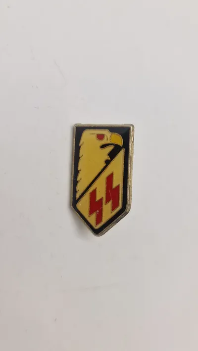 SS veteran pin