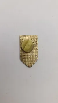 SS veteran pin