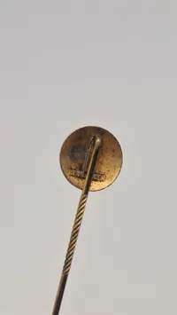 Original D.N.S.A.P nål