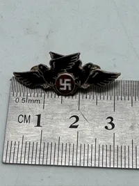 Ekstremt sjældent originalt D.N.S.A.P ravnemærke