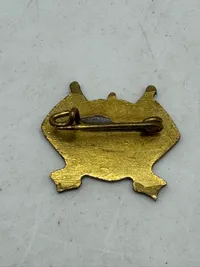 Original kong Chr X pin