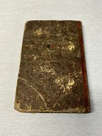 Original dyrlægebog fra 1854