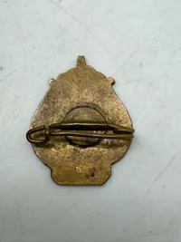 Original dansk national pin