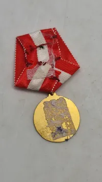 Original medalje fra Marineforeningen
