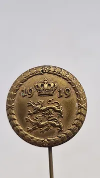 National pin 1919
