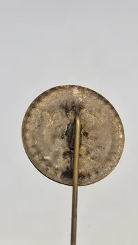 National pin 1919