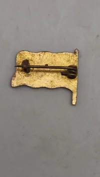 Original dansk national pin