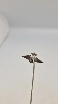 Original Dansk Flyver pin har tilhørt Christian Førslev, 1891-1959