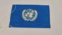 Originalt UN flag