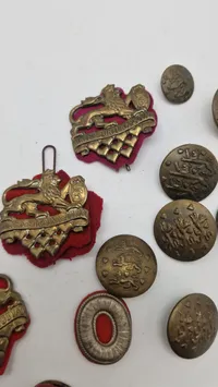 Samling regimentsmærker og knapper