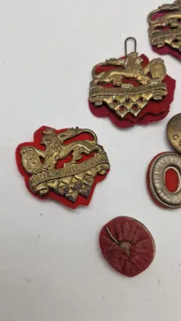 Samling regimentsmærker og knapper