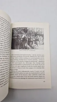 Berlin 1945 en dansk frivilligs øjenvidneberetning