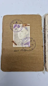 Original tysk hjelm med solbuch. Opsat på plade med fuld historie (såret på fronten)