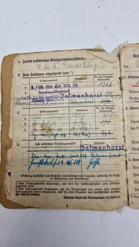 Original tysk hjelm med solbuch. Opsat på plade med fuld historie (såret på fronten)