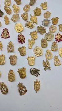 Samling regimentsmærker