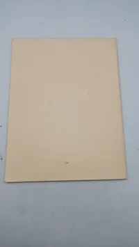 SWAT team manual