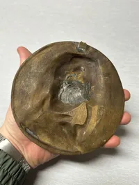 Napoleon bronze platte