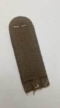 Original Sjælden D.N.A.S.P. skulderstrop politisk leder WW2