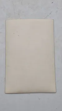 Originalt privat Foto af Adolf Hitler Nürnberg