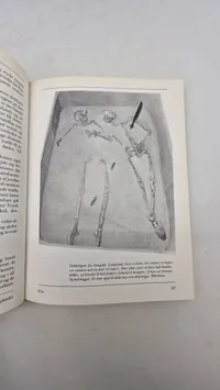 Vikingernes verden