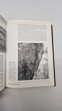 Vikingernes verden