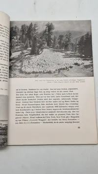 Originalt eks af Germanske budstikke, årgang 1943