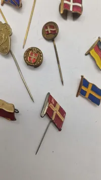 Samling nationale pins