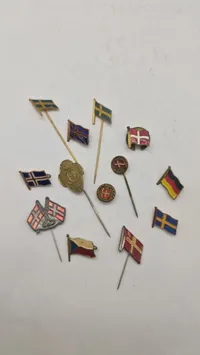 Samling nationale pins