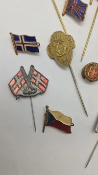 Samling nationale pins