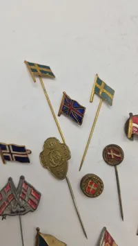 Samling nationale pins