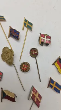 Samling nationale pins