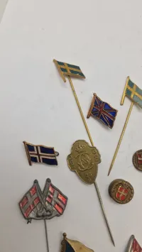Samling nationale pins