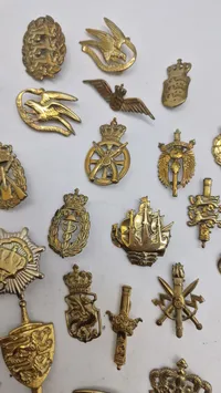 Samling regiments mærker
