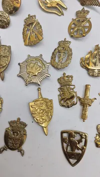 Samling regiments mærker