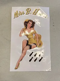 Pinup girl i ww2 stil til bl.a. bilen