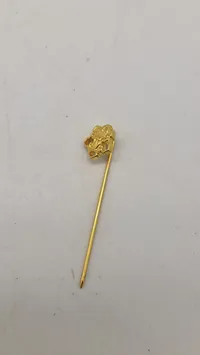 Pin, danske livregiment