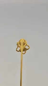 Pin, danske livregiment