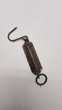 Fiske vægt