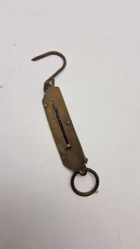 Fiske vægt