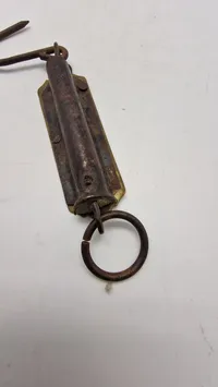 Fiske vægt