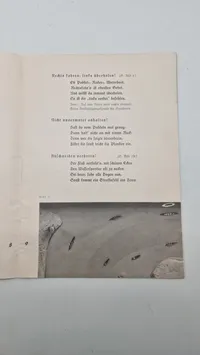 Originalt program Olympiaden 1936