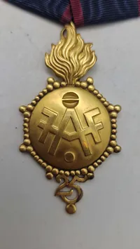Original dansk medalje fra Felt Artilleri Foreningen