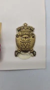 Samling falsterske fodregiment
