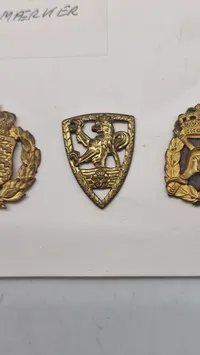 Samling regimentsmærker