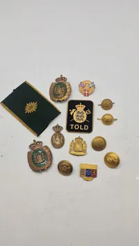 Samling dansk politi