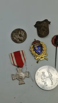 Samling pins og medaljer